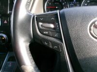 トヨタ　ヴェルファイア　4WD(内装:天井)