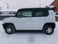 ハスラー　4WD(外装:後)